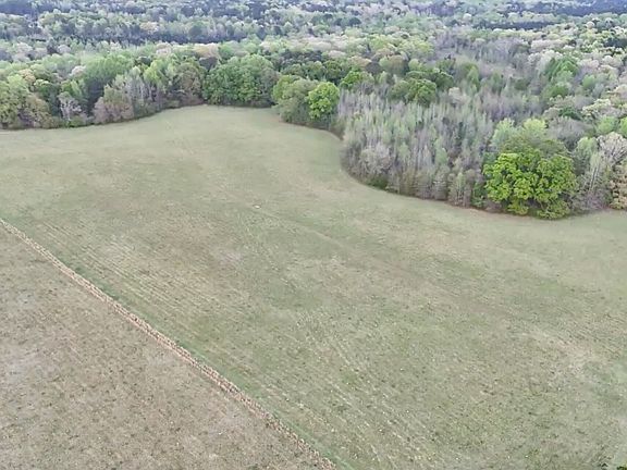 2nd image of Caldwell Rd