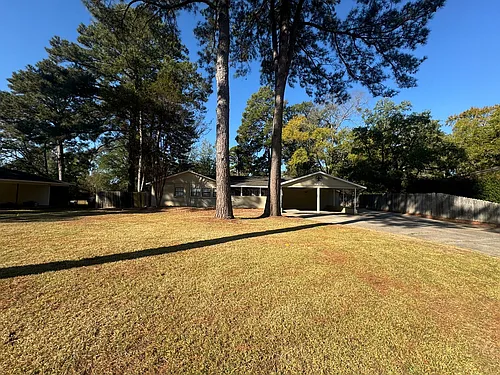9434 Palmetto Ln Photo 1