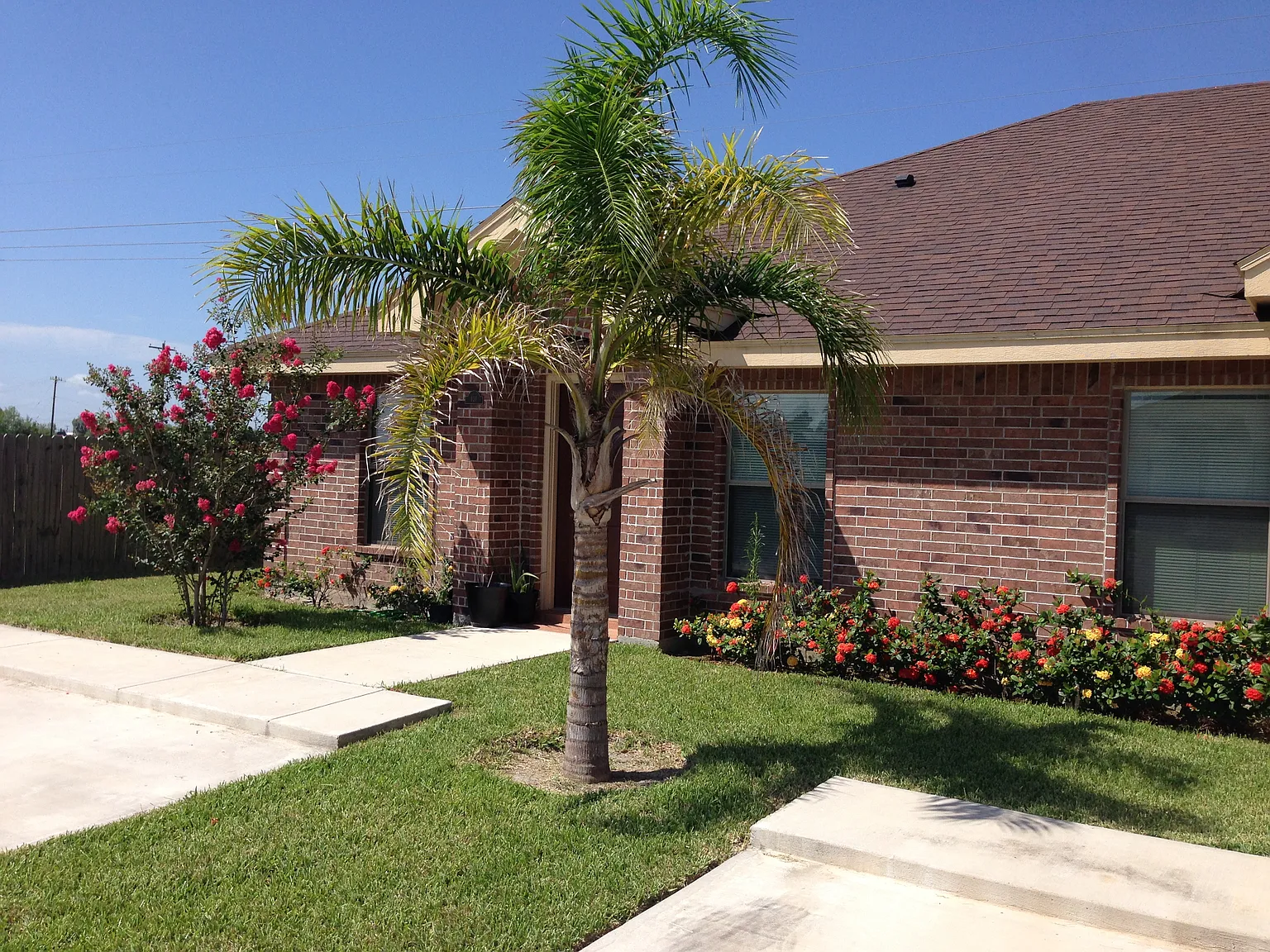 2 bed, 1050 sqft, $1,100 — Photo 2