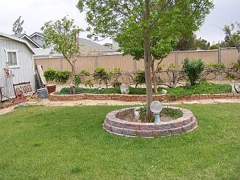 East side of backyard