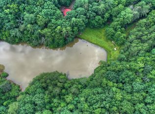 16&17 Big Ben Rd, Ellijay, GA 30540