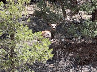 0 Timber Ridge Rd, Weston, CO 81091