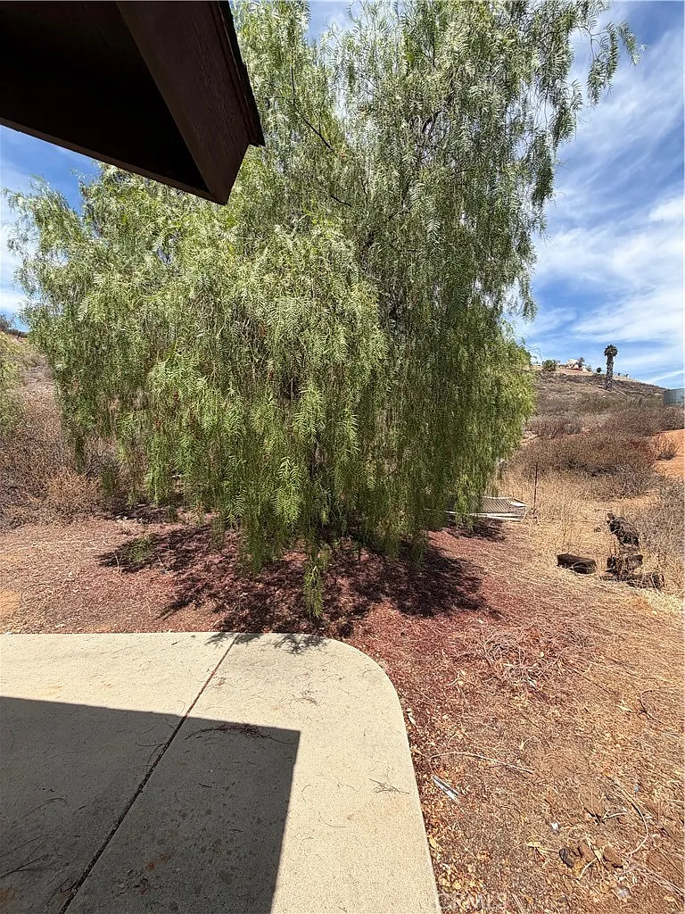 2 bed, 900 sqft, $3,200 — Photo 4