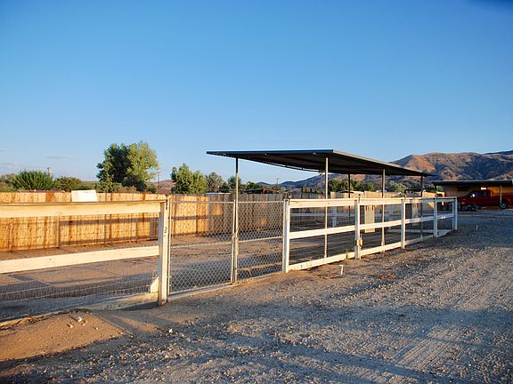 Paddock (west side)