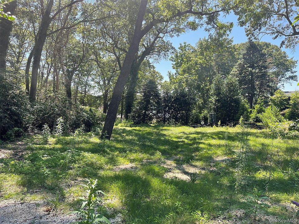 2nd image of Little Neck Road