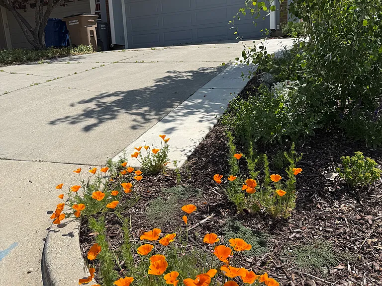 View of driveway and garage entrance