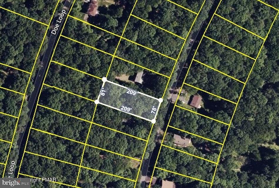 2nd image of 288 Doe Loop