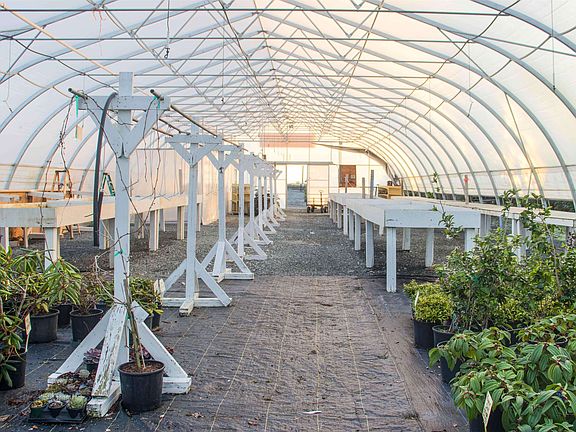 4th image of 10641 Ladner Trunk Rd