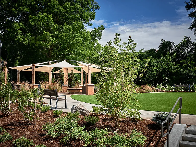 Outdoor Lawn