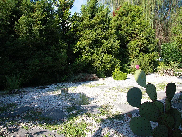 115 Tortoise Ln — Photo 31