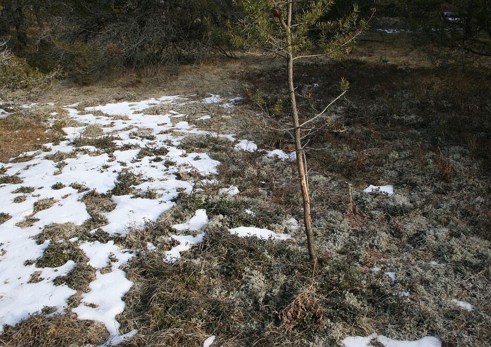 5071 S Stephan Bridge Rd Grayling MI Zillow