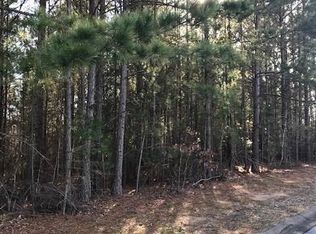 409 Caro Ln, Chapin, SC 29036