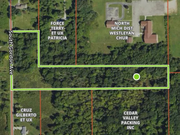 11298 S Gordon Ave, Grant, MI 49327