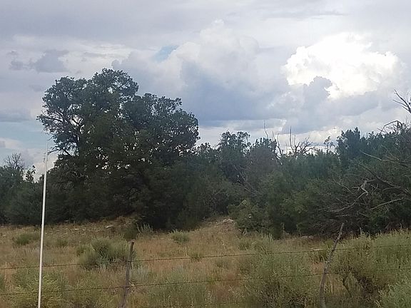 2nd image of 10005 W Cloud Cover Way