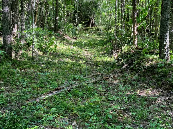 0 Hardman Rd, Sautee Nacoochee, GA 30571