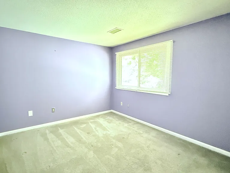 Oak Forest Dr — Photo 11