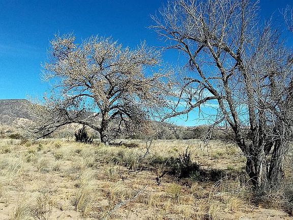 5th image of 5 El Porvenir