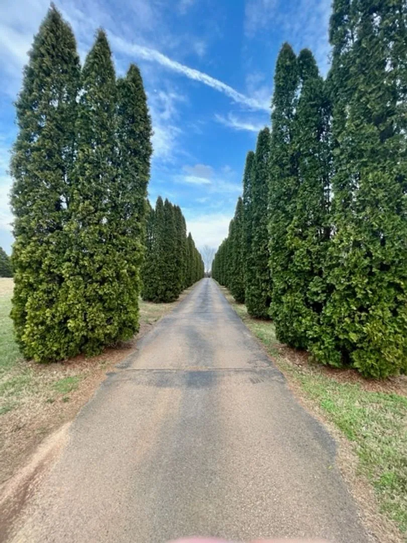 Country Living in the City*4 Bedrooms*Some Acreage Mowing included — Photo 3