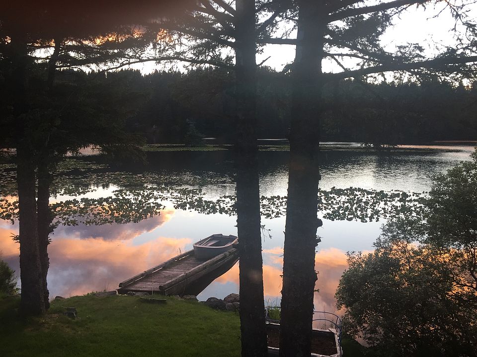 Summer Sunsets 