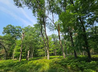 XX E Bass Lake Rd, Danbury, WI 54830