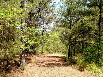 L-6 Highland Woods Rd, Copperhill, TN, 37317