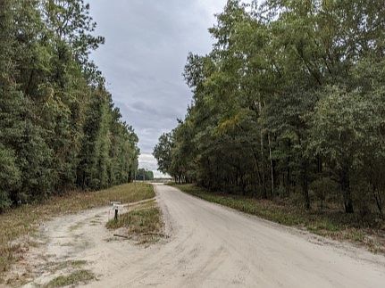 5th image of 229 Drive