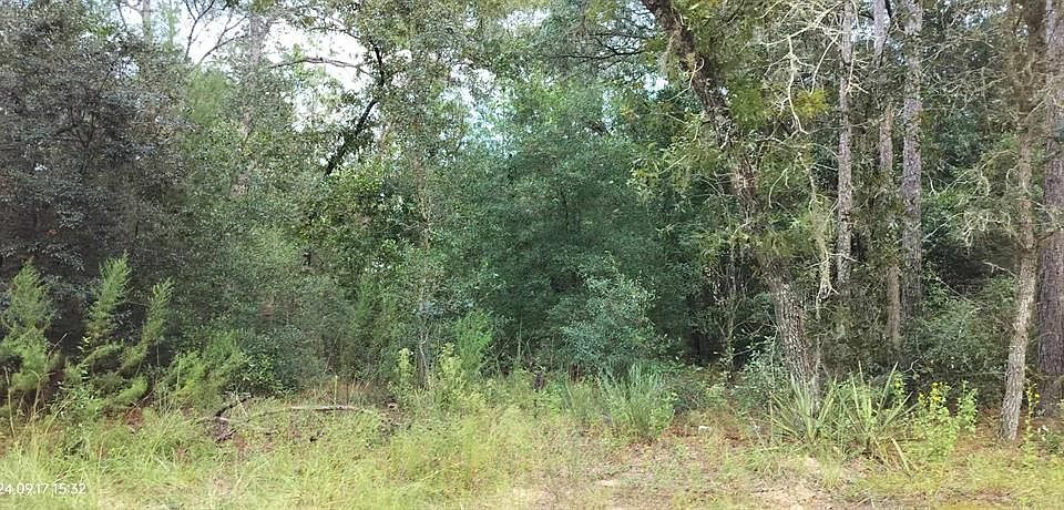 1st image of 1767 N Daytona Point #1087
