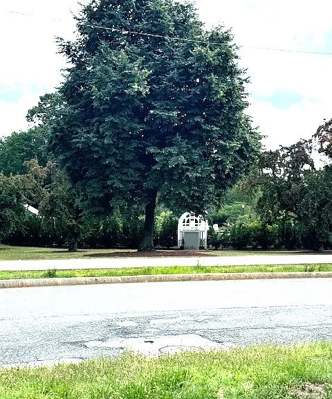 69 Park Dr #7 — Photo 13