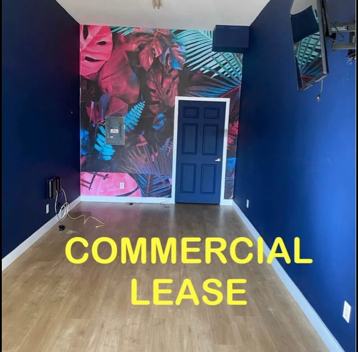 Studio, $1,300 — Photo 1