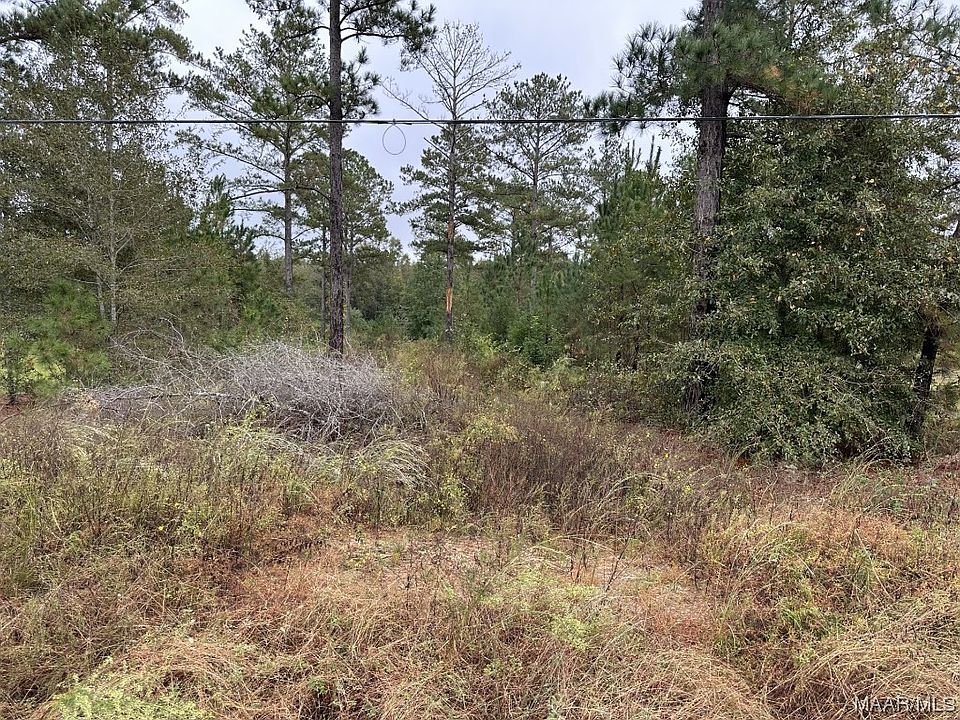 0 County Road 4404, Banks, AL 36005 MLS 548558 Zillow