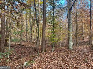 0 Notnomis Rd #31.1, Franklin, GA 30217