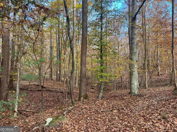 0 Notnomis Rd #31.1, Franklin, GA 30217