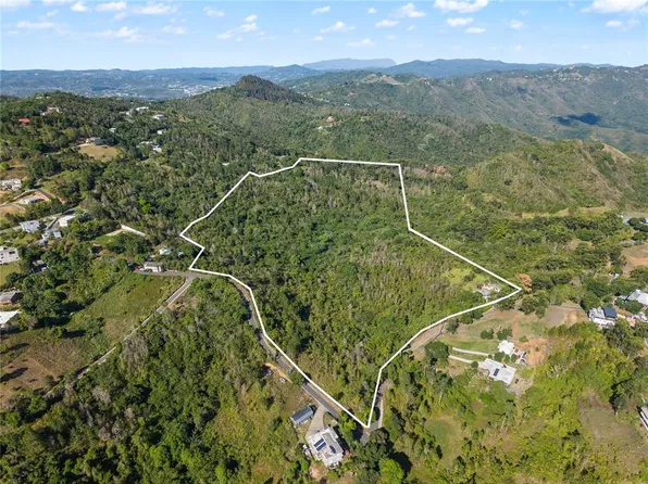 BO. CERCADILLO, CAYEY, PR 00736