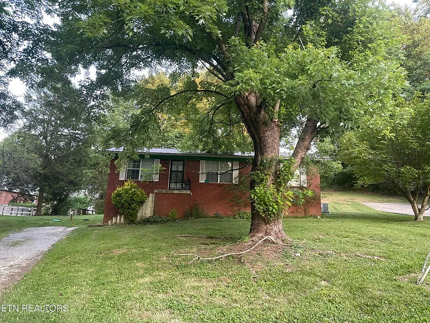 REAG — Photo 2