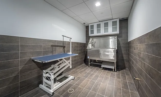 Rented by The Dermot Realty Management Company | media 15