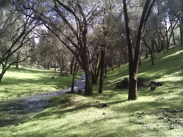 6421 Charity Ln, Shingle Springs, CA 95682