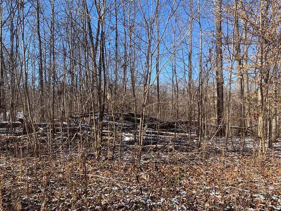 2nd image of 73 Lookout Dr