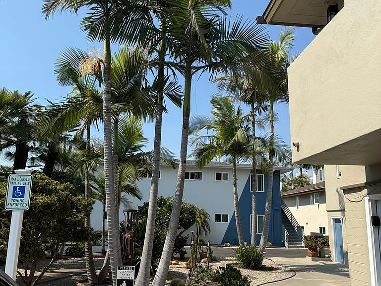 Antone Apartments — Photo 28