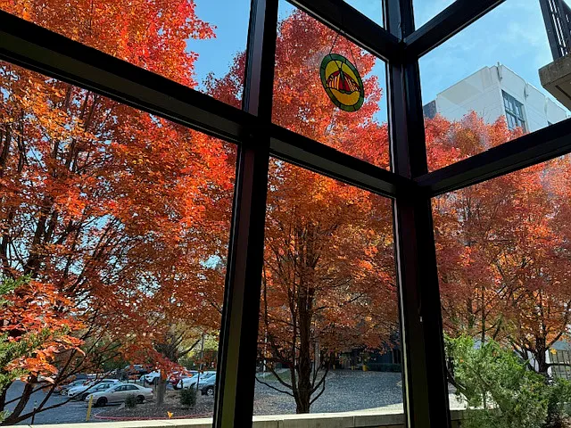 View from bedroom in the fall