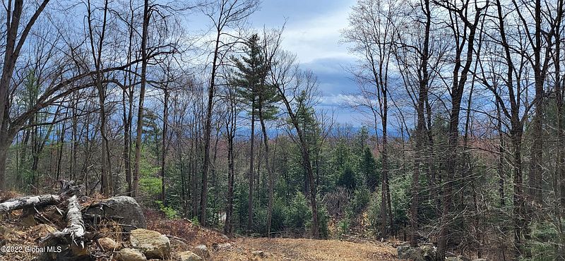 3rd image of L3 Clendon Brook Road #ADIRONDACK PK