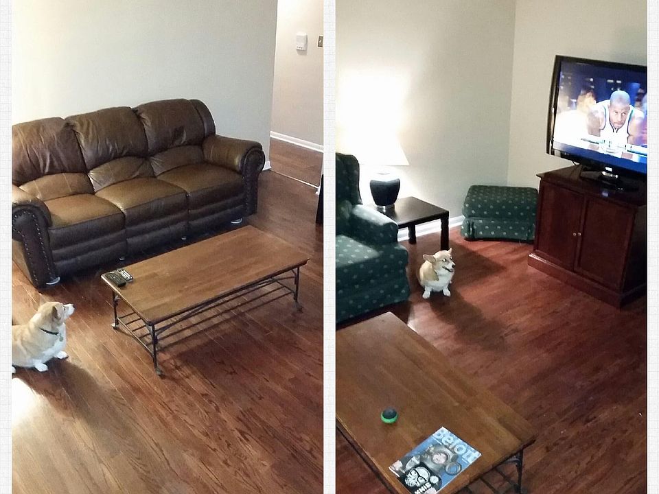 Furnished front room - plenty of space to watch a good movie with friends.