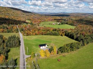 4312 Johnson Hollow Rd, Prattsville, NY 12468