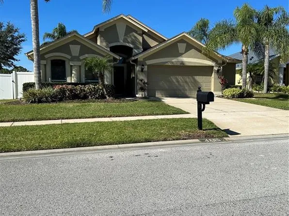 4805 Everhart Dr, Land O Lakes, FL 34639