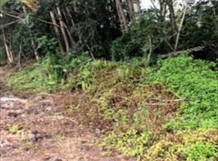 16th Ave LOT 285, Keaau, HI 96749