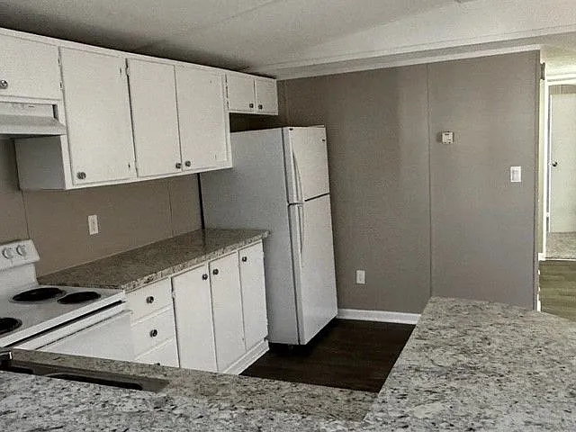 Palmetto Palms — Photo 15