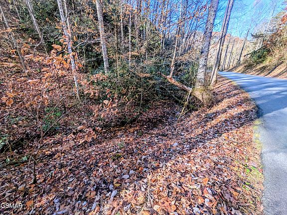 3rd image of 1908 Rose Pass Lot 1908