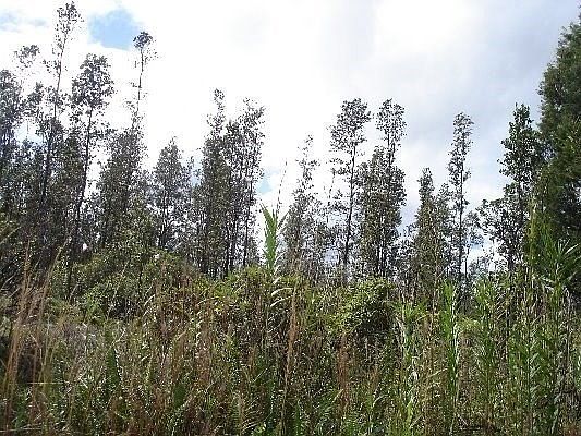 2nd image of Road 5 Lot 3908