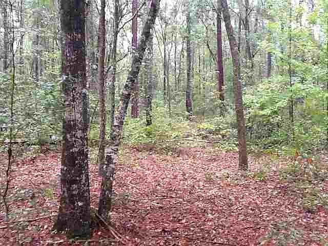 1st image of 17 W Bear Hollow Trl #0