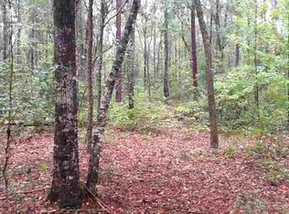 17 W Bear Hollow Trl #0, Greenville, FL 32331