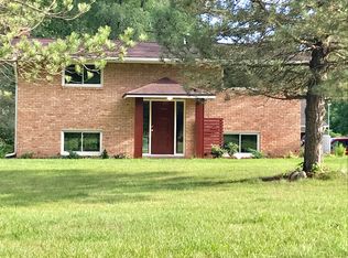 1231 Machnik Dr, Chelsea, MI 48118